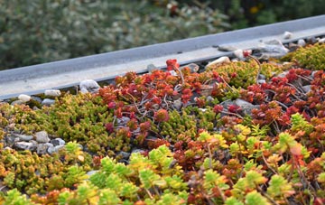 the cost of Murthly green roof installation