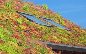 Murthly living roof systems